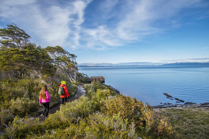 City Tour + Fort Bulnes - Cruises - Image 1
