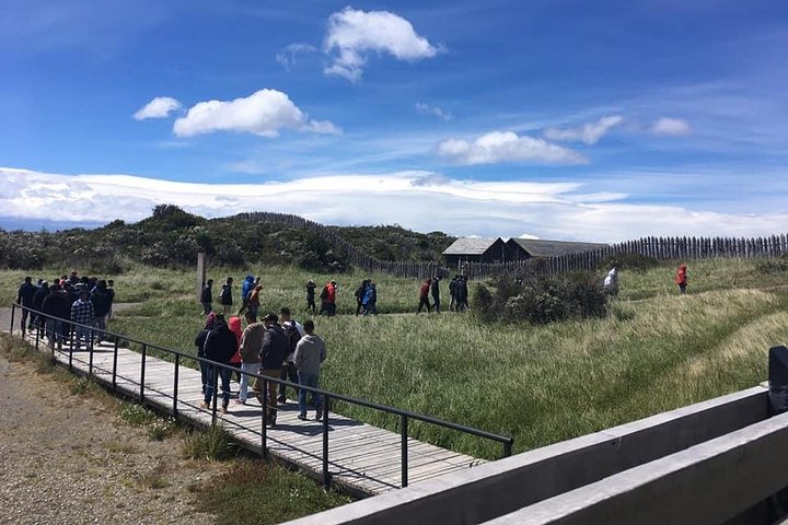City Tour + Fort Bulnes - Cruises - Image 4