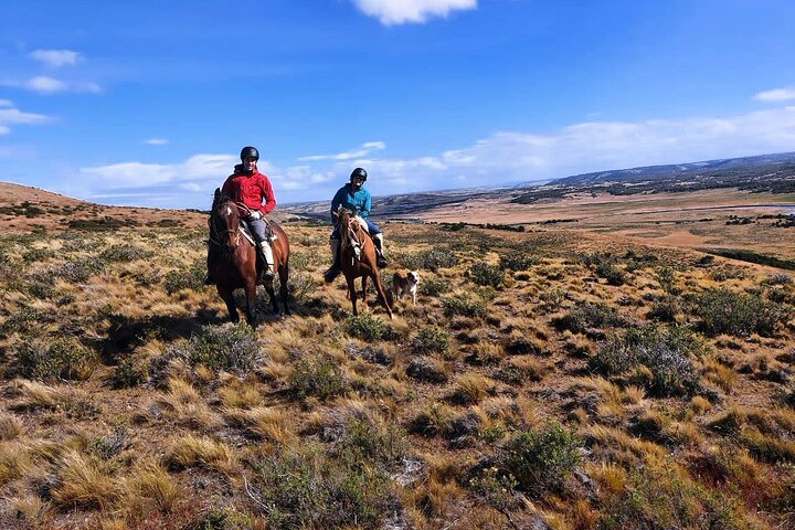 Estancia ,de la comuna de Laguna Blanca  - Image 5