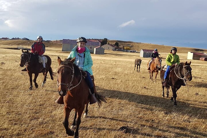 Estancia ,de la comuna de Laguna Blanca  - Image 3