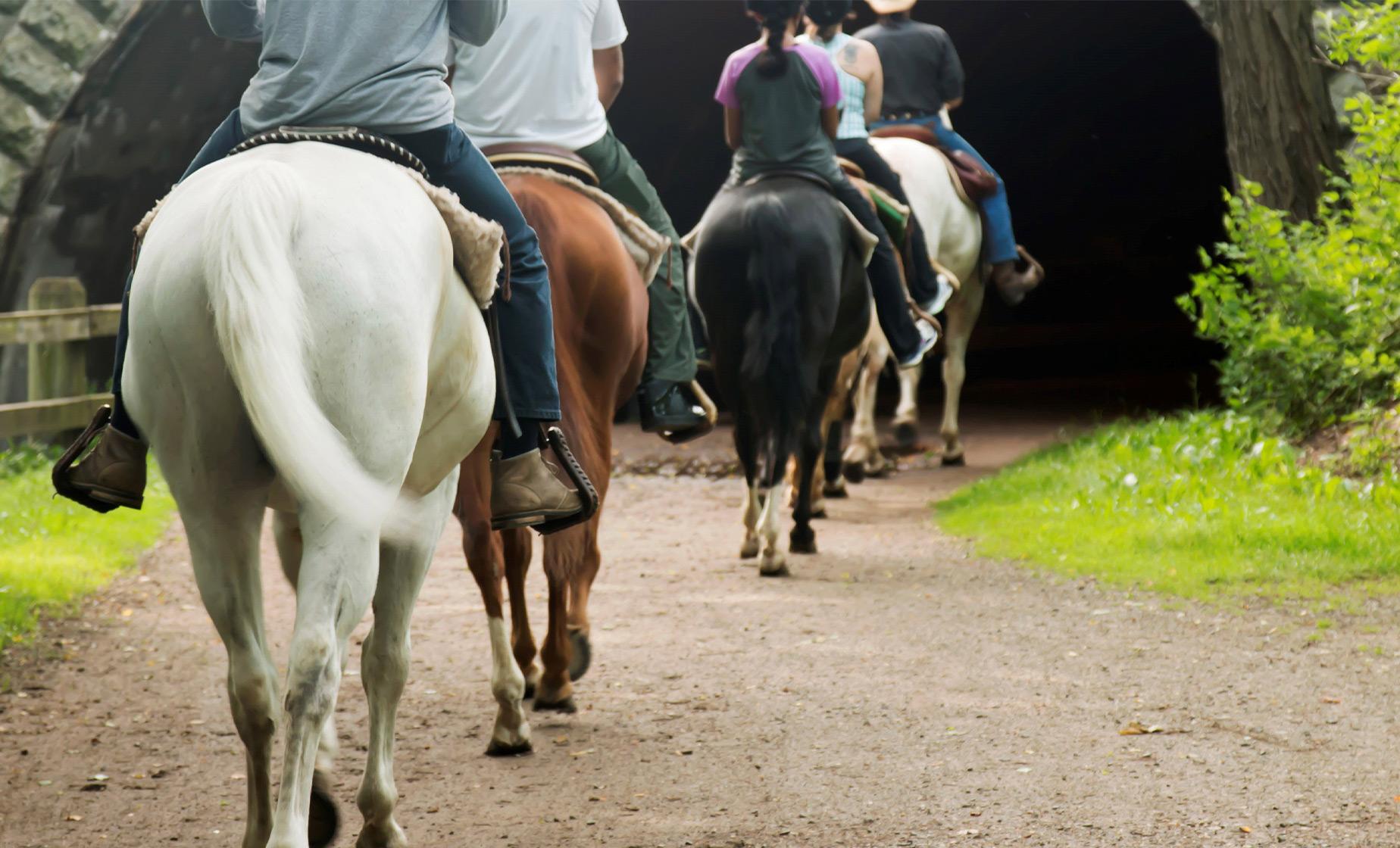 Horseback Riding - Image 1