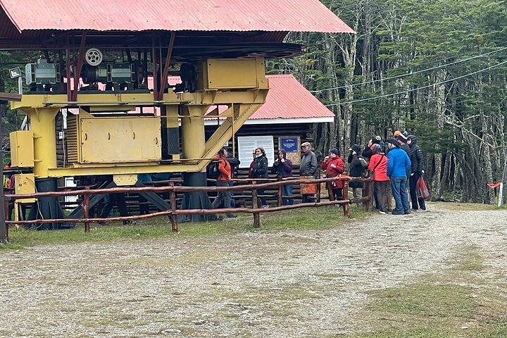 Magallanes Forest and Club Andino Tour from Punta Arenas - Image 3