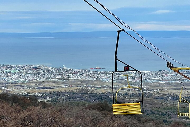 Magallanes Forest and Club Andino Tour from Punta Arenas - Image 1