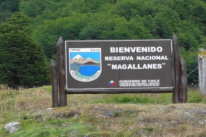 Magallanes Reserva and City Tour. Private Shore Excursion. - Image 1