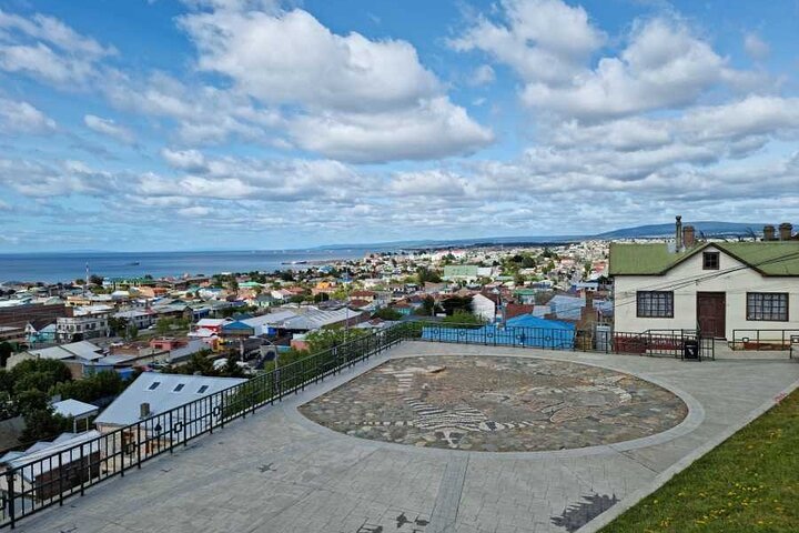 Magallanes Reserva and City Tour. Private Shore Excursion. - Image 2