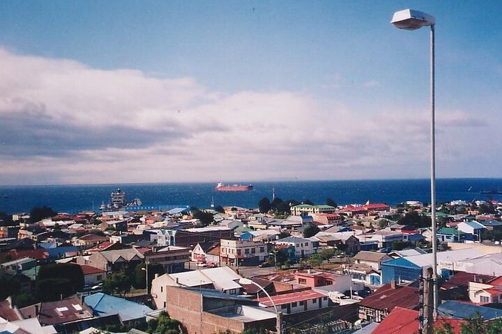 Magallanes Reserva and City Tour. Private Shore Excursion. - Image 3