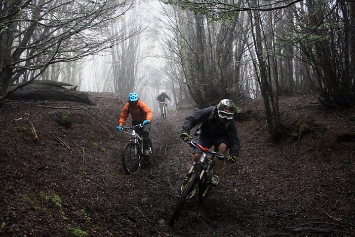 Mountain Bike Adventure in Punta Arenas - Image 5