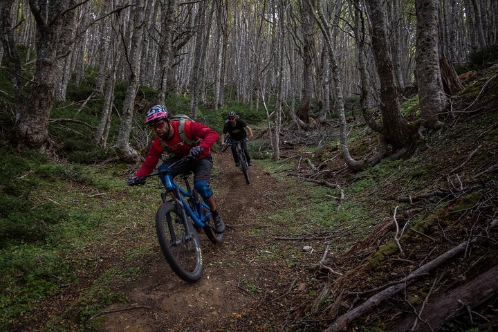 Mountain Bike Adventure in Punta Arenas - Image 3
