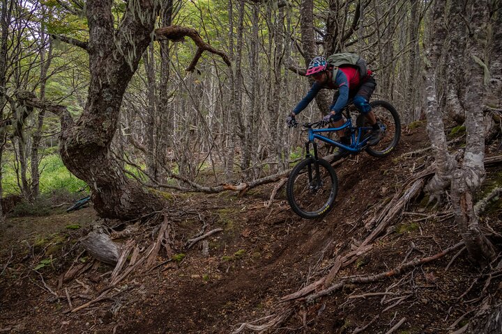 Mountain Bike Adventure in Punta Arenas - Image 2