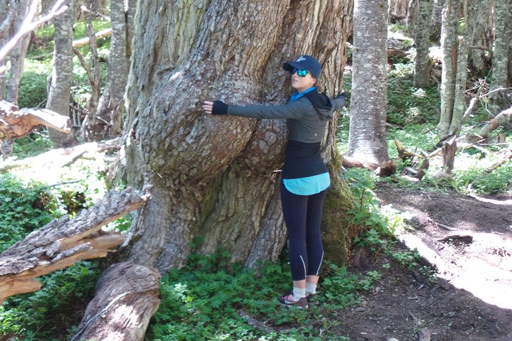 Patagonian Forest Full-Day Hike - Image 1