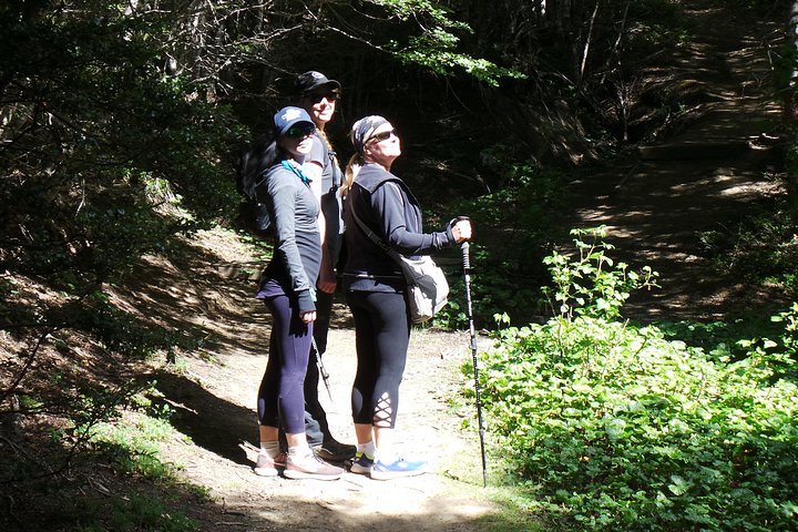 Patagonian Forest Full-Day Hike - Image 2