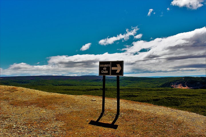 Patagonian Forest Half-Day Hike - Image 3