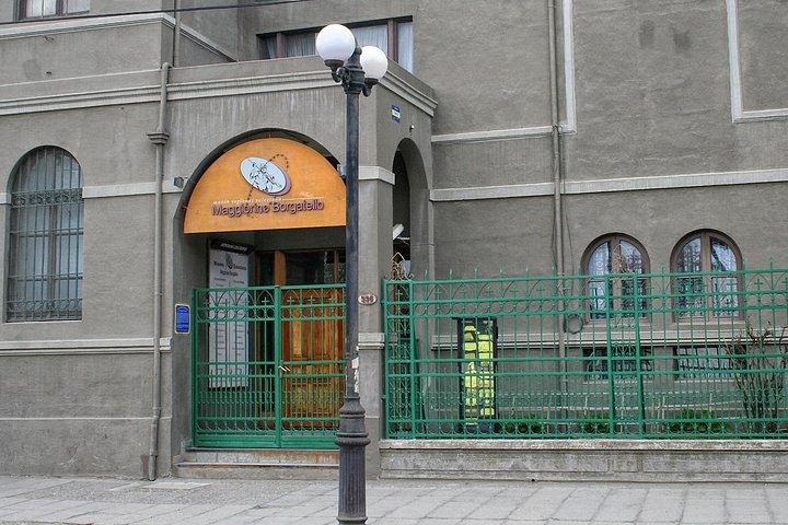 Punta Arenas Private Touring - Full Day (Minivan) - Image 5
