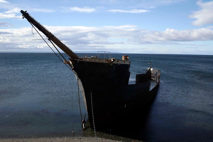 Punta Arenas Private Touring - Full Day (Minivan) - Image 2
