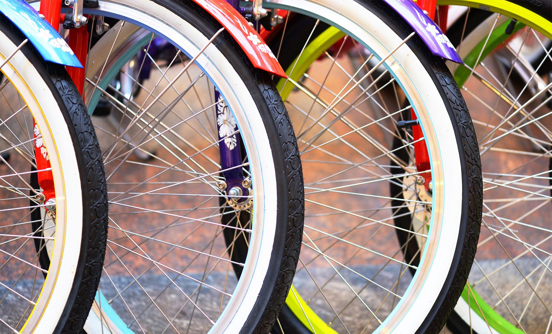 Bike Punta del Este - Image 1