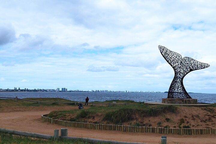 Full Day Private Tour to Punta del Este - Image 5