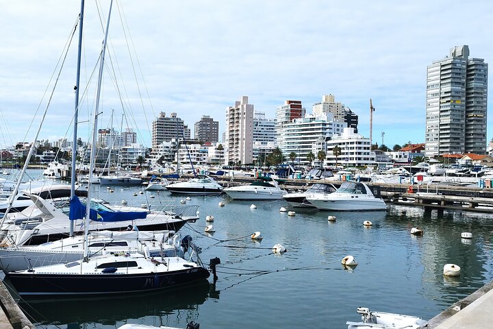 Full Day Private Tour to Punta del Este - Image 1