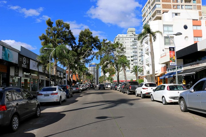 Punta del Este Shore Excursion: Private Sightseeing Tour of Punta del Este - Image 5