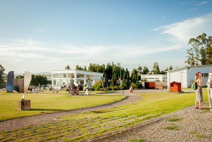 Punta del Este Special Art Tour - Image 3