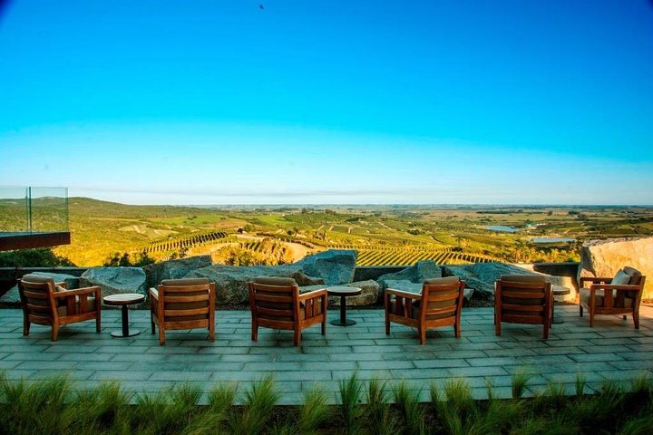 Punta del Este Wine Tour, Bodega Garzon, Private Transfer - Image 1