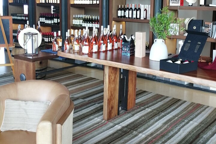 Roundtrip Transfer Vineyards and Olive Groves of Punta del Este Uruguay - Image 5