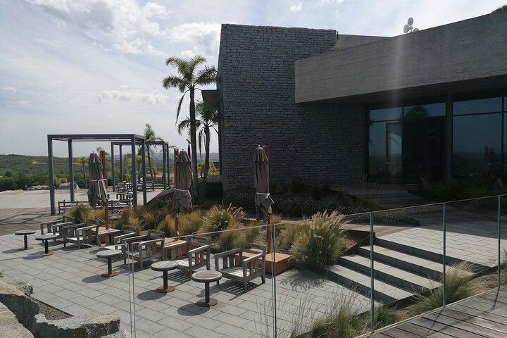 Roundtrip Transfer Vineyards and Olive Groves of Punta del Este Uruguay - Image 3
