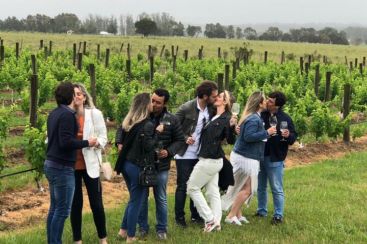 Wine Lovers - Enjoy a Gourmet Lunch in the Countryside!  - Image 5