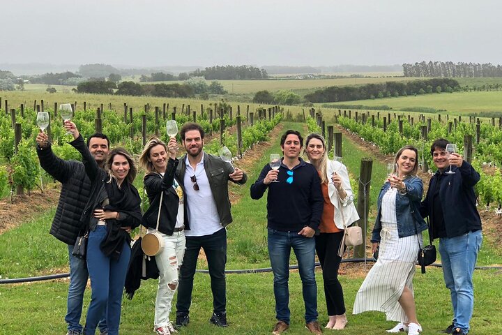 Wine Lovers - Enjoy a Gourmet Lunch in the Countryside!  - Image 3