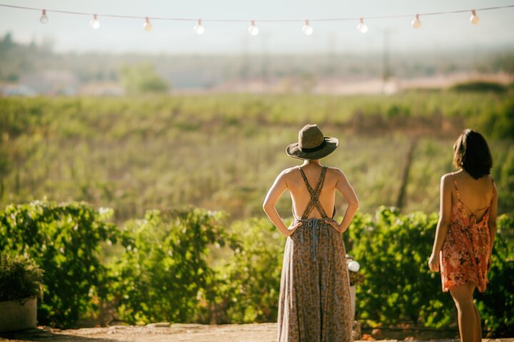 Wine Lovers - Punta Wine Experience - Image 2