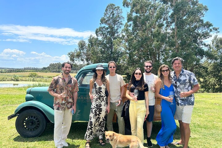 Wine Lovers - Punta Wine Experience - Image 4