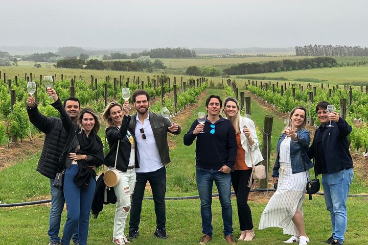 Wine Lovers - Punta Wine Experience - Image 3