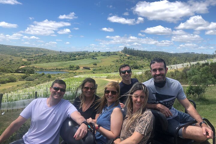 Wine Lovers - Visit a Hidden Vineyard off the beaten track - Image 5