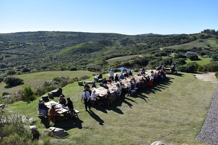 Wine Lovers - Visit a Hidden Vineyard off the beaten track - Image 1
