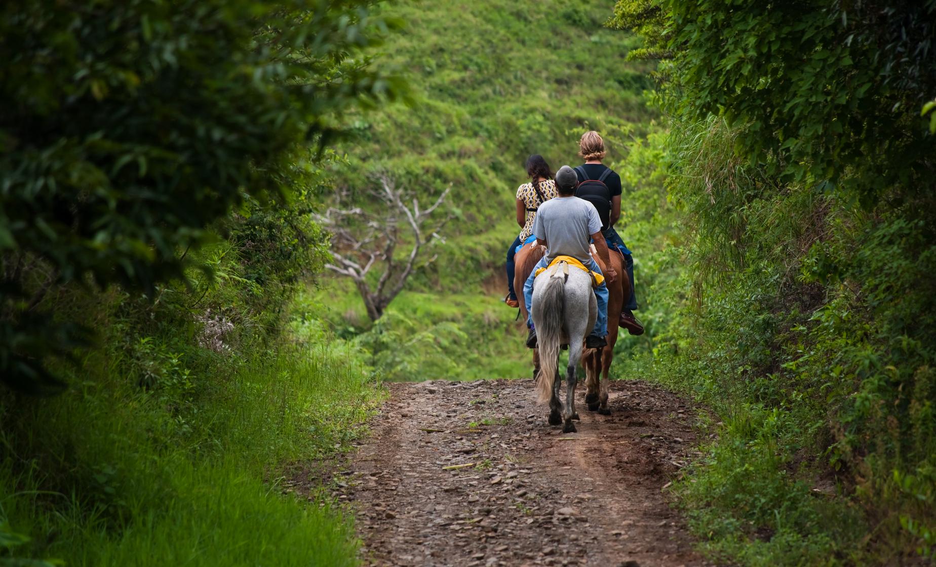 Horseback Riding with Safari Boat Combo - Image 1