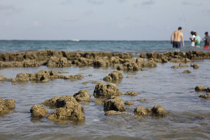 Porto de Galinhas Day Trip - Image 4