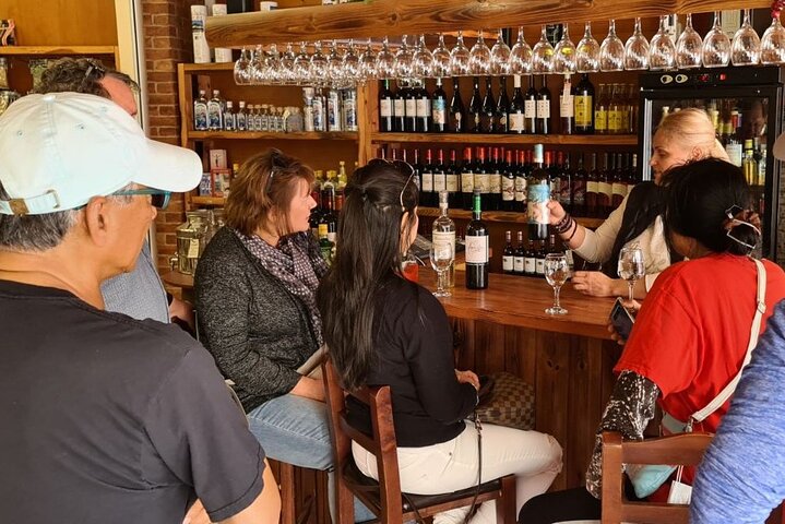 1 Day Rhodes Island Tour with Olive Oil, Honey, Wine Tasting Experience & Lunch - Image 4