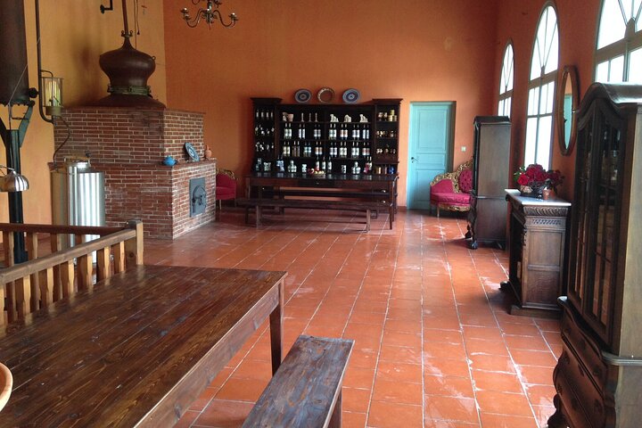 1 Day Rhodes Sightseeing Tour including Lunch & Wine Tasting - Image 4