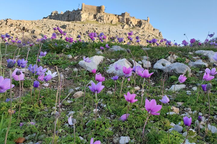 6-Hour Guided Tour in the Main Ancient Attractions of Rhodes - Image 1