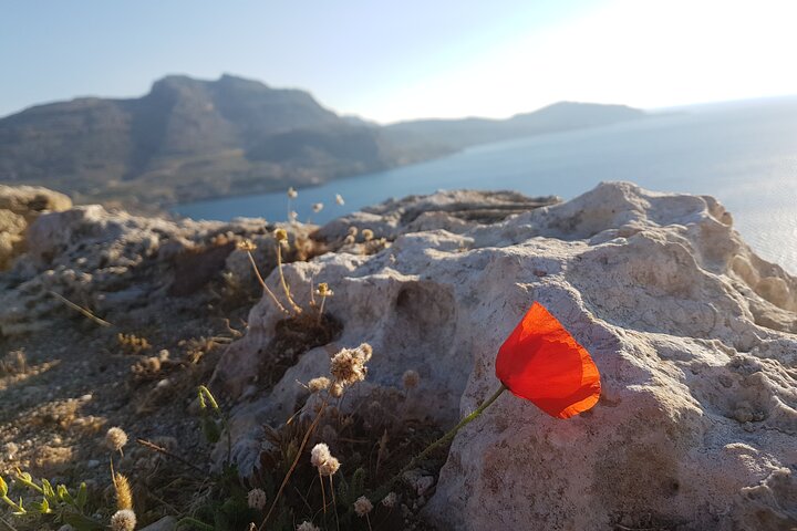 All in One Full Day Rhodes Island Tour for First Time Visitors - Image 3