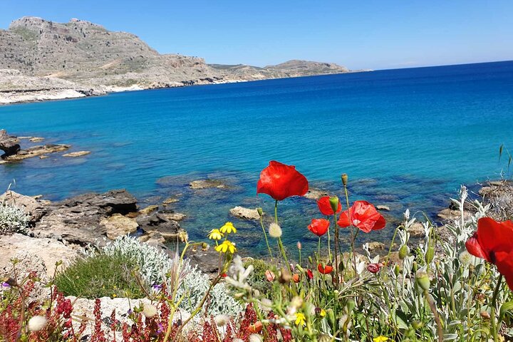 Full-Day Rhodes Island and Local Culture Shore Excursion - Image 5