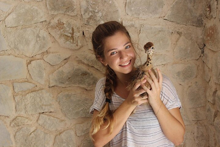 Happy Family Private Adventure in Rhodes with a Flexible Itinerary - Image 3