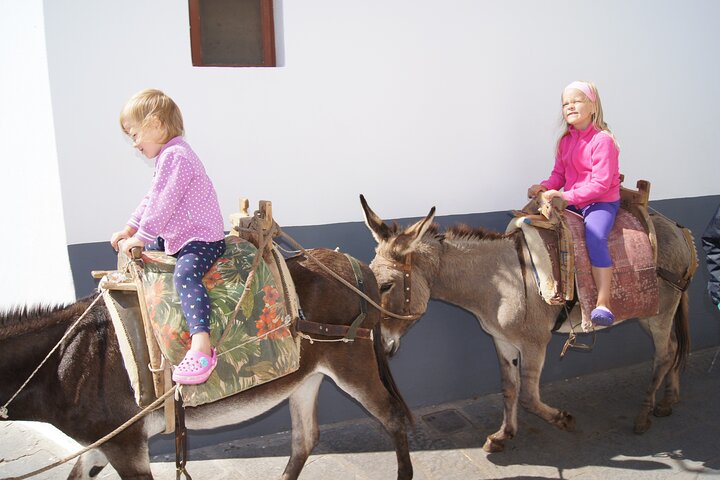 Happy Family Private Adventure in Rhodes with a Flexible Itinerary - Image 2