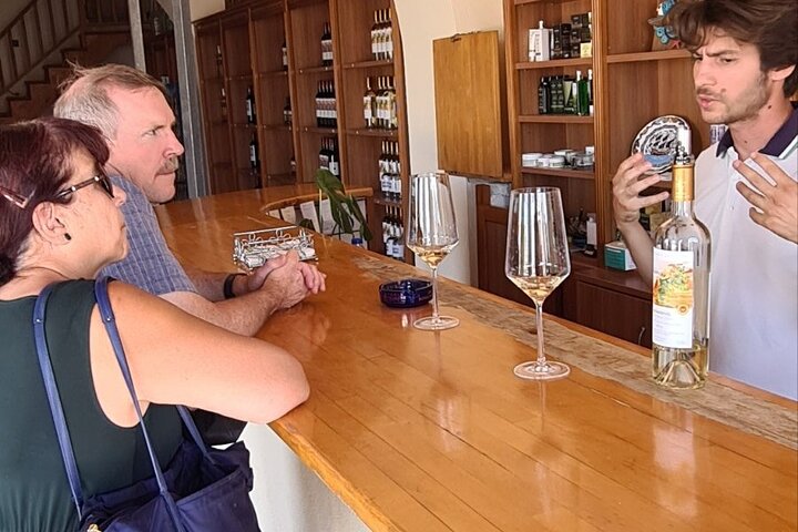 Private Lavish Wine Tour visiting Emponas, Kritinia and Pataludes Wine Producers - Image 5