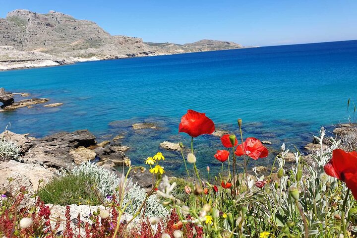 Private Swimming Snorkeling Experience at the Most Beautiful Bays of Rhodes - Image 1