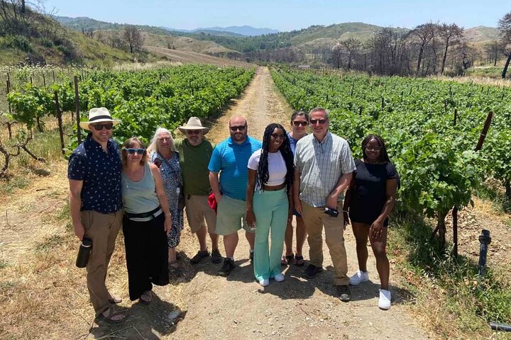 Rhodes Food & Wine Tour: 10- Course Lunch, Cooking Class, Wine Tasting - Image 3