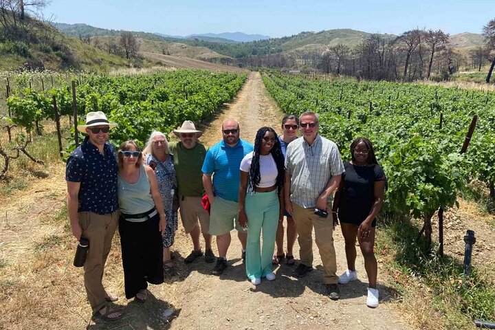 Rhodes Island Day Tour with Wine Tasting and Lunch - Image 1