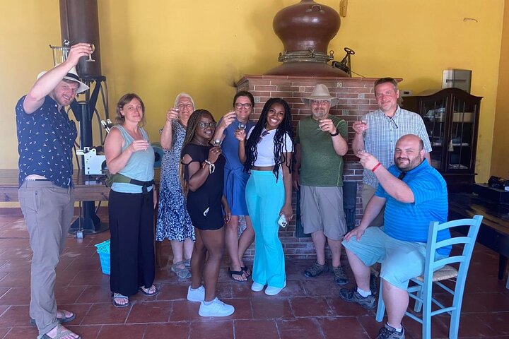 Rhodes Island Day Tour with Wine Tasting and Lunch - Image 2