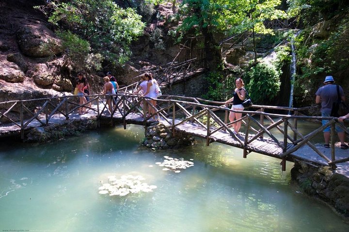 Rhodes Shore Excursion: Private Valley of the Butterflies Day Trip - Image 5
