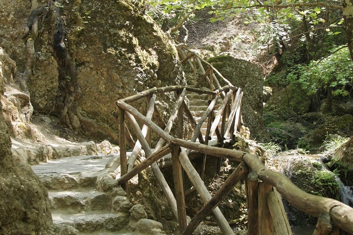 Rhodes Shore Excursion: Private Valley of the Butterflies Day Trip - Image 2