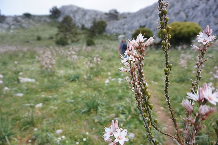 Winter Season Hiking at Mount Akramitis  - Image 5